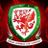 Dafydd Davies's profile picture