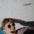 Ole Hass's profile picture