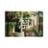 Seekyuan Chai's profile picture