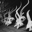 Future Nation // Zodiac Mixtapes // Aries 2015 aka Khaleesi Trap by Sautrah