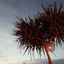 One good sunset party @vzl