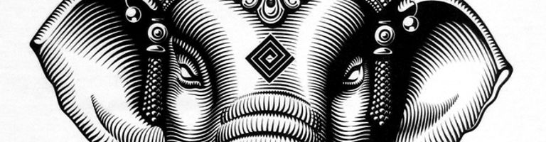 TRIBI cover image