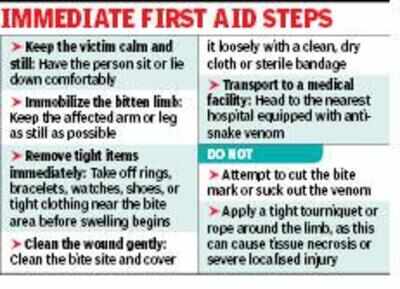 Schools along EM Bypass take fresh guard against snakes
