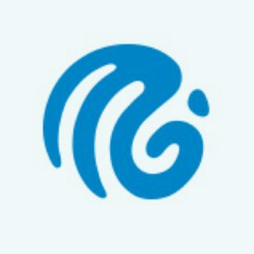 Metricgram logo