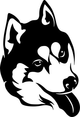 Husky matrica 13