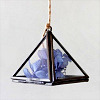dray: (Terrarium - Blue)