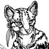 rabid_bookwyrm: Black and white illustration of an anthropomorphized margay cat (Default)