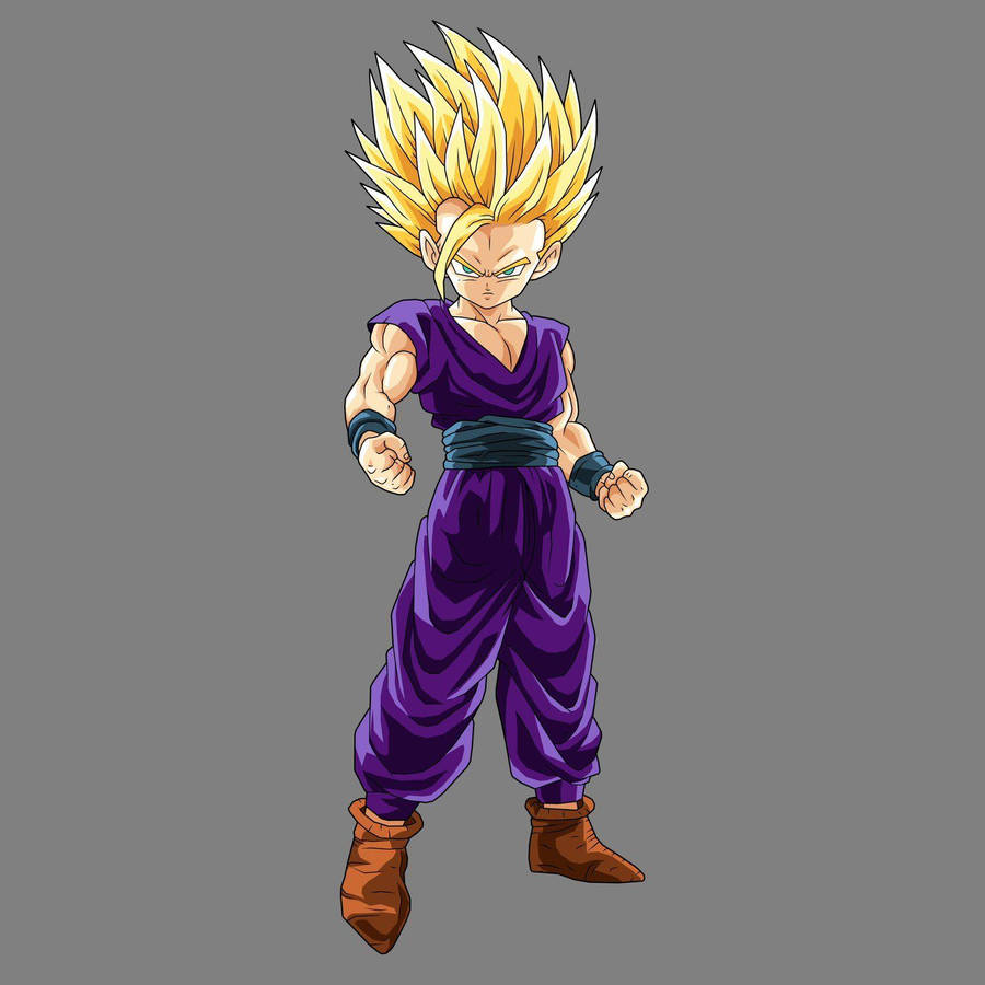 Gohan Billeder