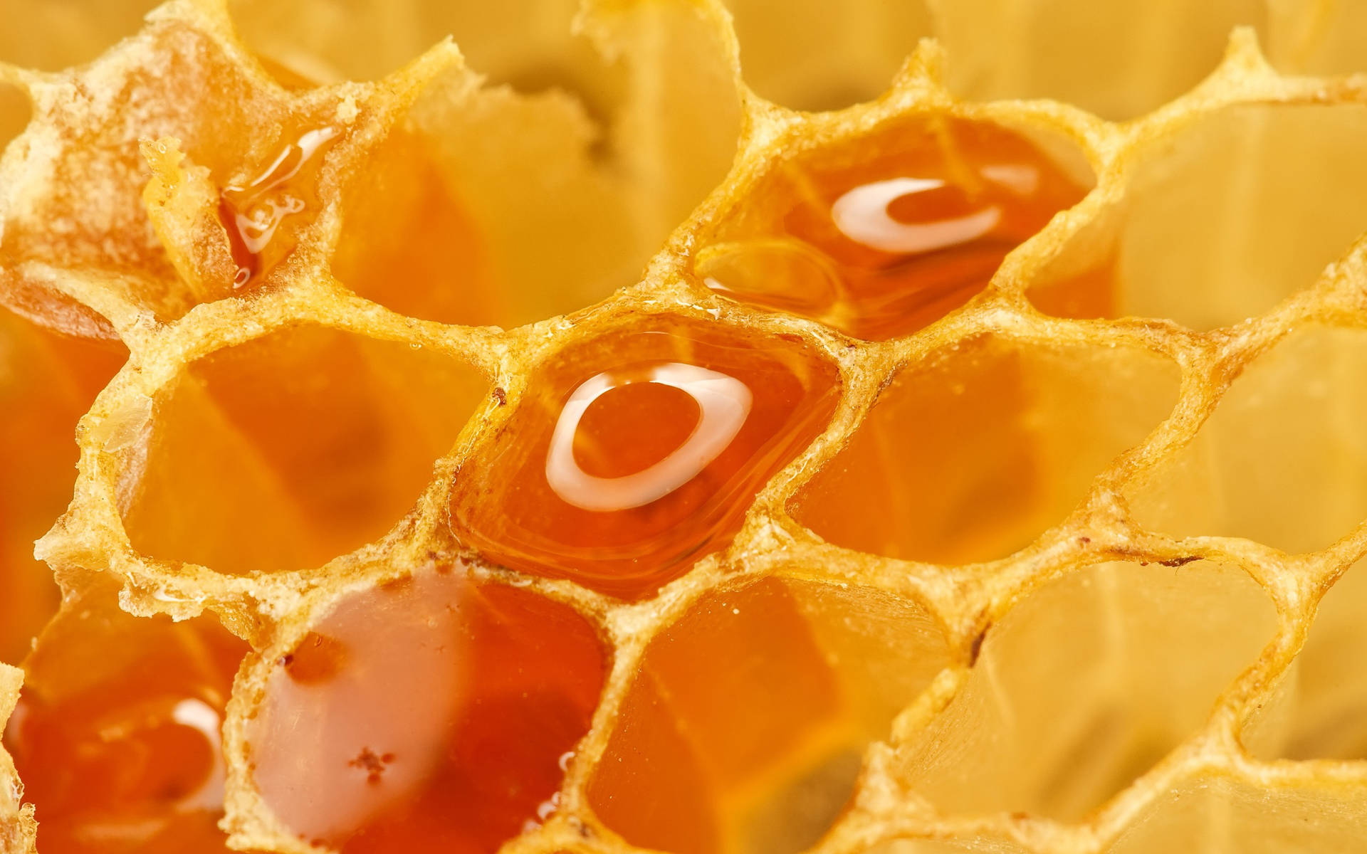 Golden honeycomb with amber honey dripping from hexagonal cells.