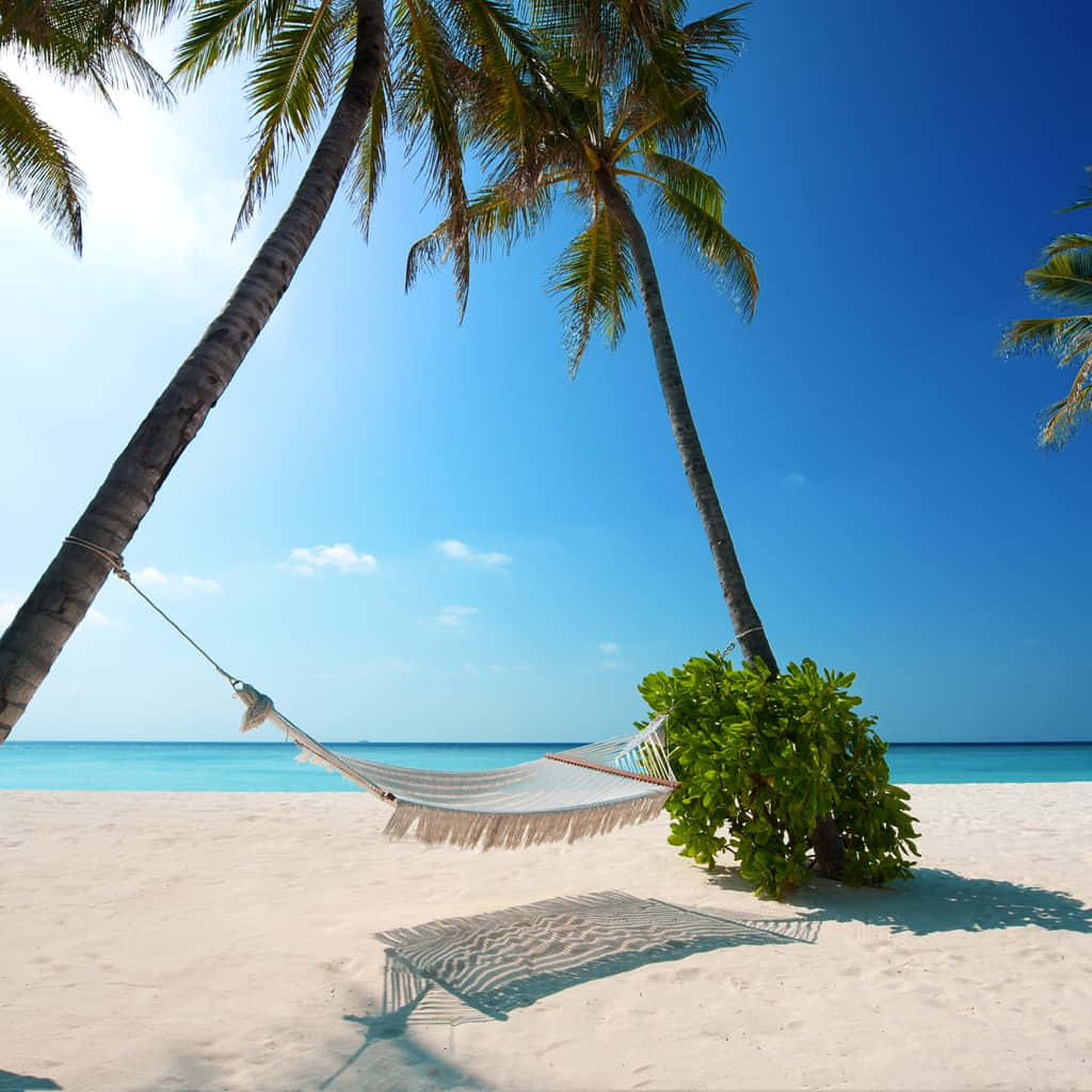 Caribisch strand — Caribisch Strand Achtergronden
