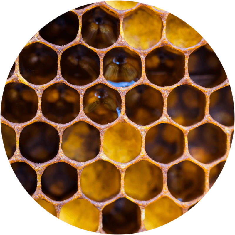 Cirkulär honungskaka med gyllene honung i några celler och tomma celler mot svart bakgrund — Honeycomb Bilder
