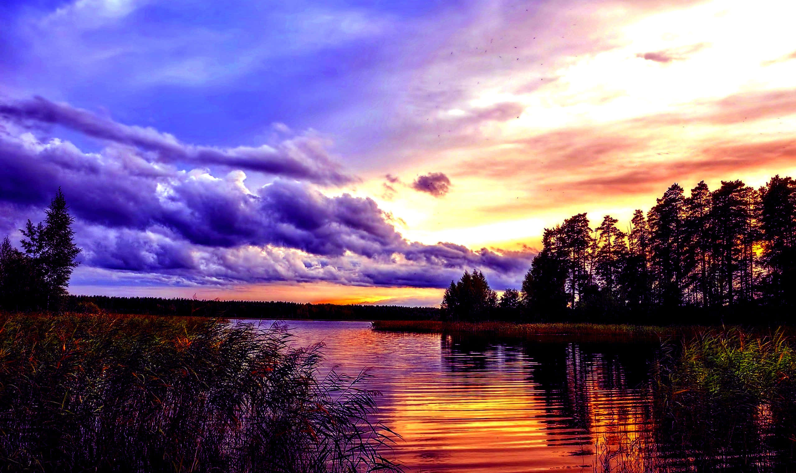 Un lago al tramonto con nuvole arancioni e viola riflesse in acqua calma circondata da pini e canne. — Fantastico paesaggio Sfondi