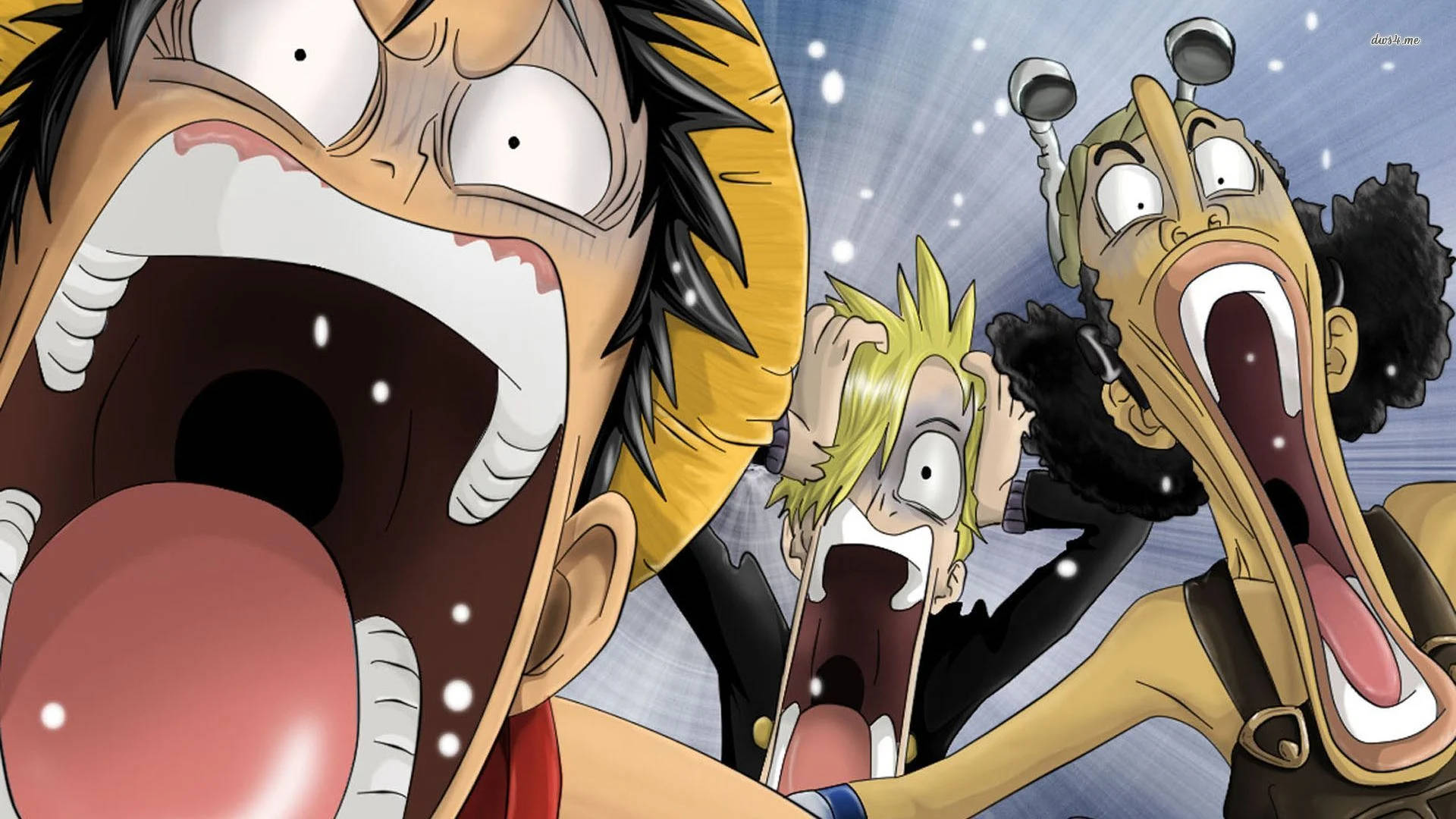 Rostos engraçados de anime de Luffy e amigos papel de parede — Imagens engraçadas de anime Papéis de Parede