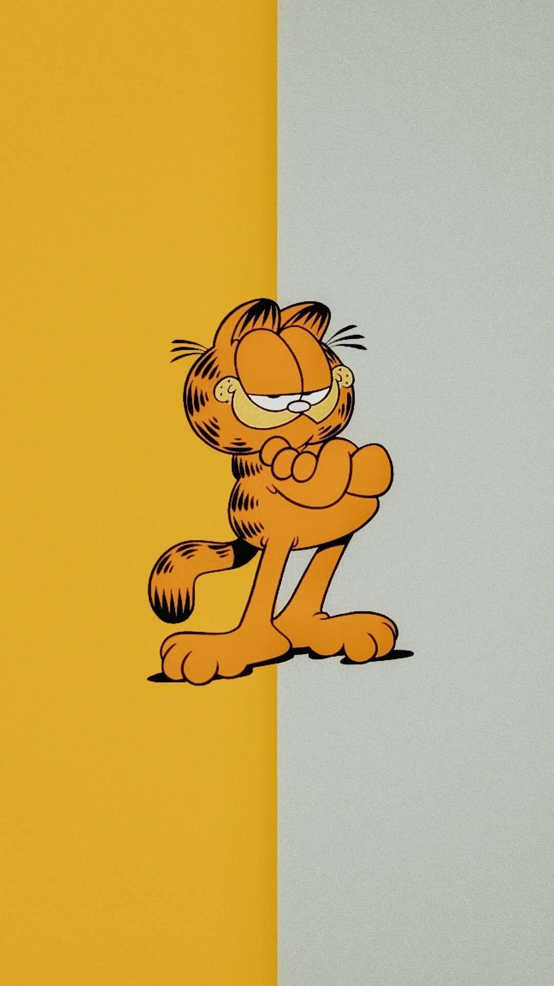 Garfield I Tofarvet Baggrund Wallpaper