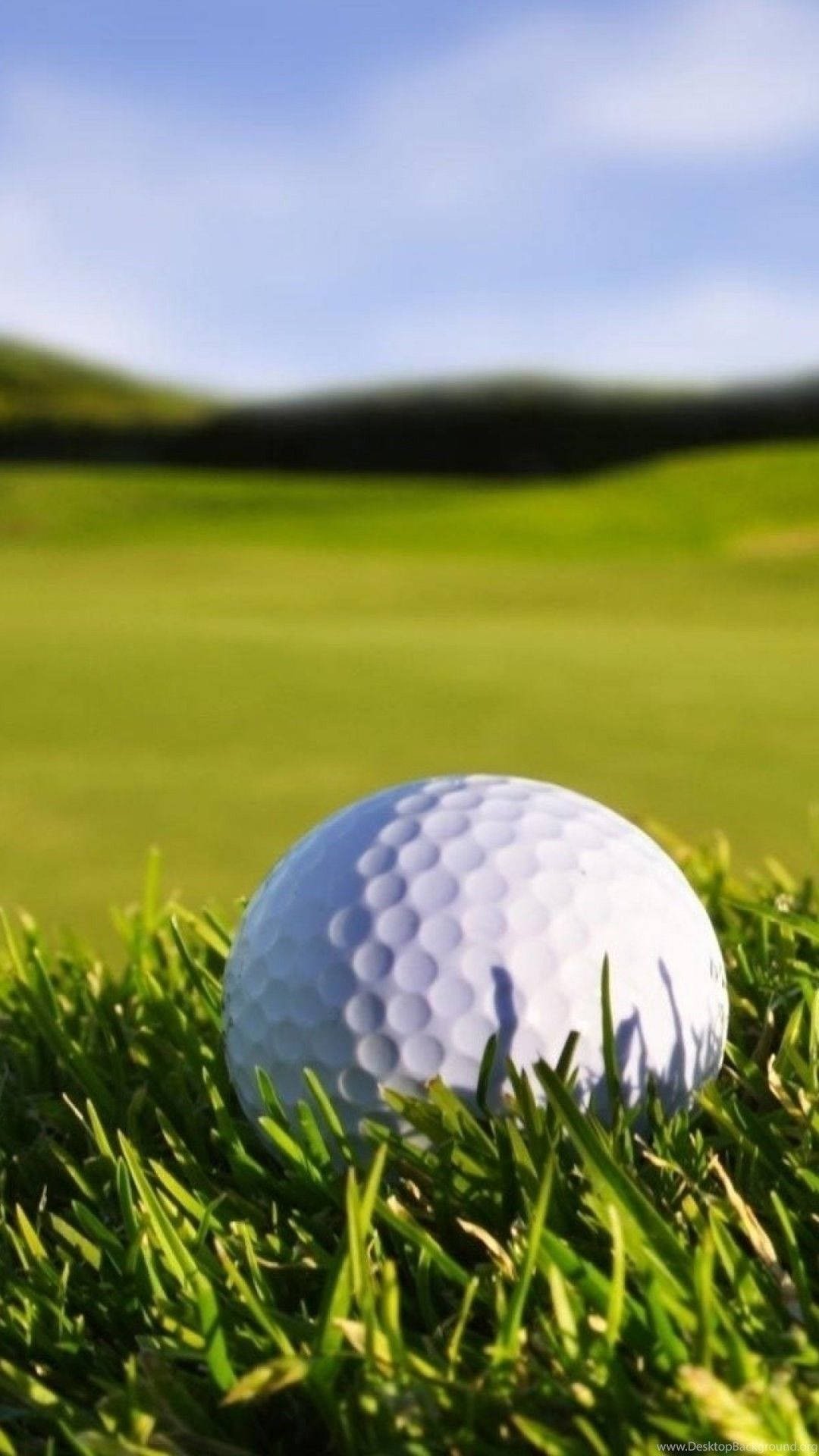 Hvit golfball innhyllet i frodig grønt gress på en solrik dag.