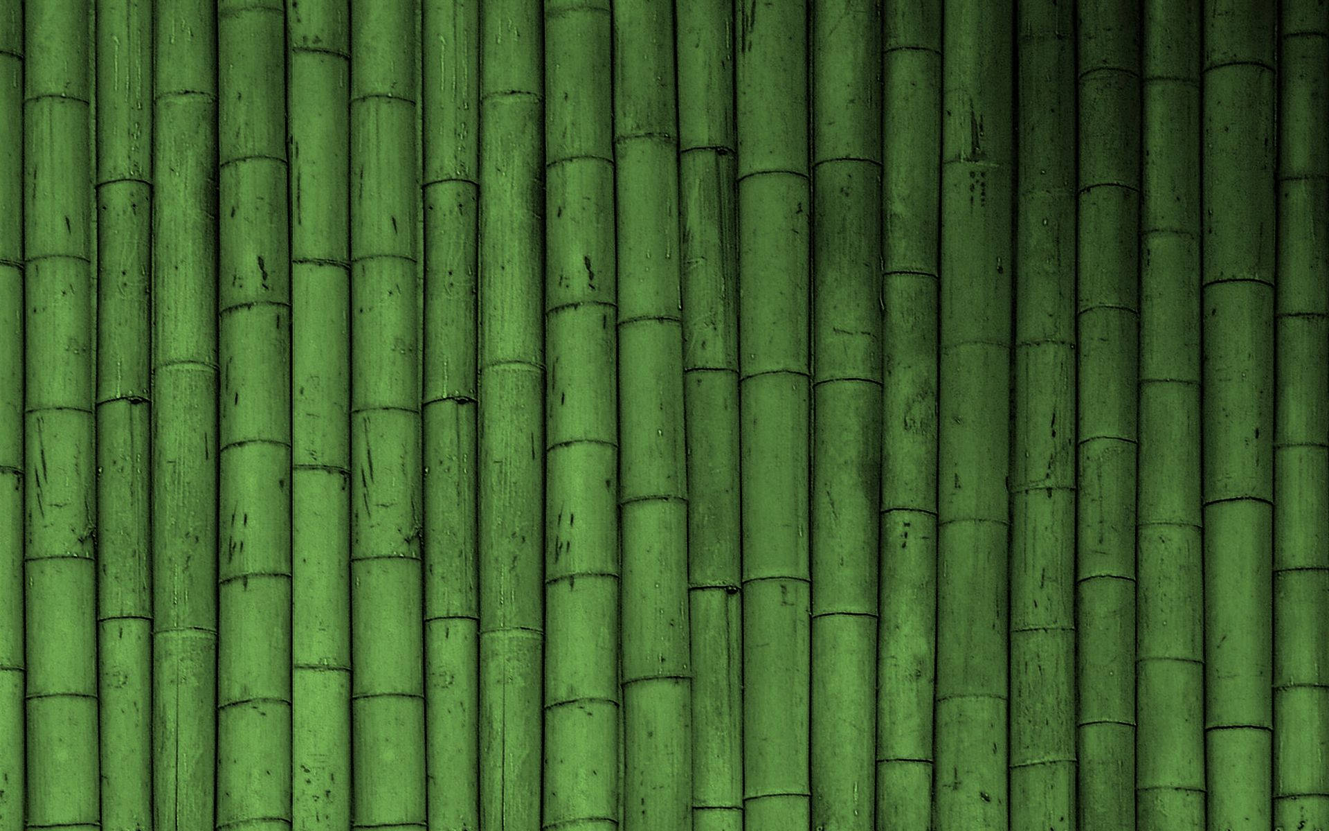 Bambù verticale su sfondo verde. — Immagini verdi Sfondi