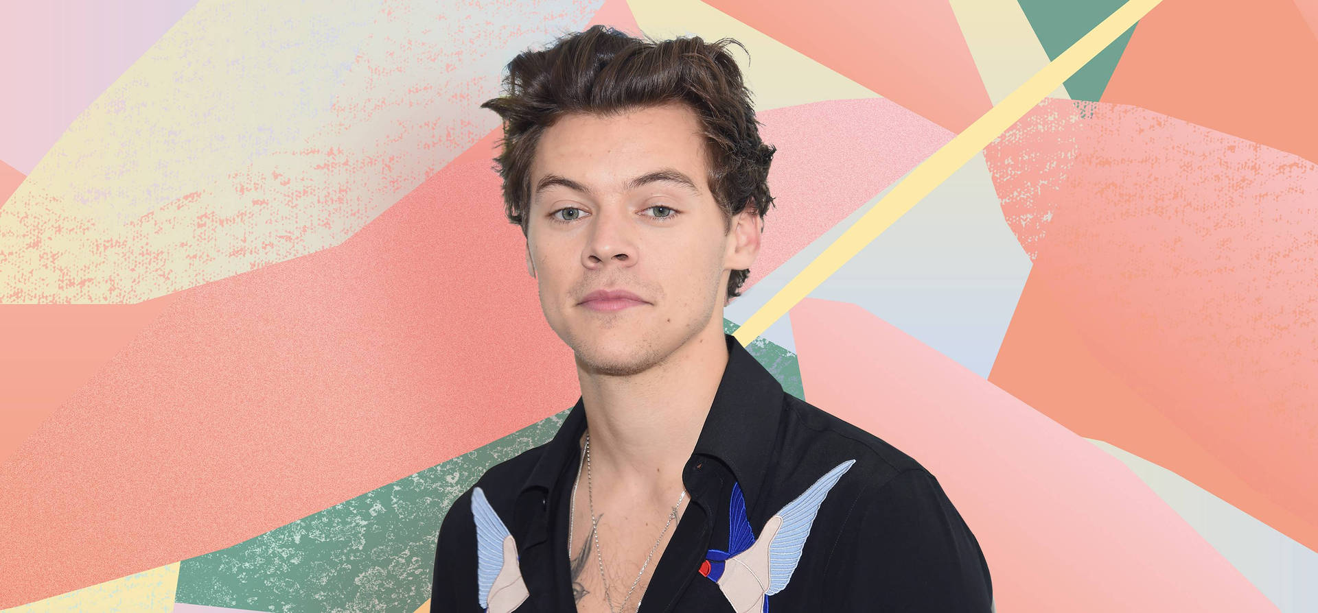 Harry Styles in una camicia nera con ricamo di uccelli su uno sfondo astratto colorato. — Stili Sfondi