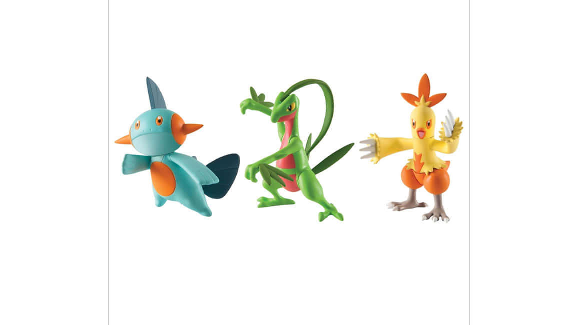 Marshtomp,grovyle, Combusken Figuren Wallpaper