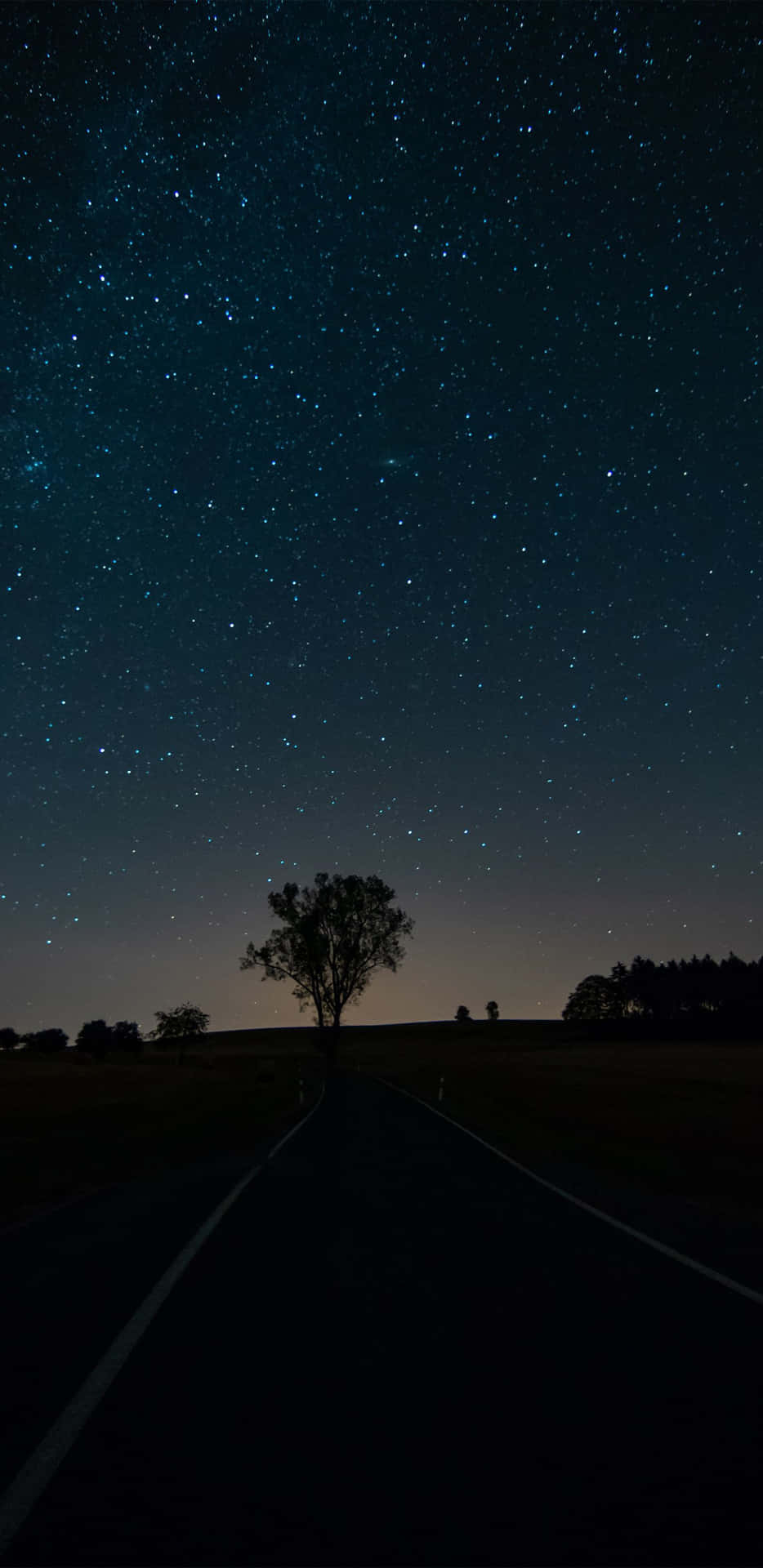 En mørk vej fører til et ensomt træ under en stjerneklar nattehimmel.