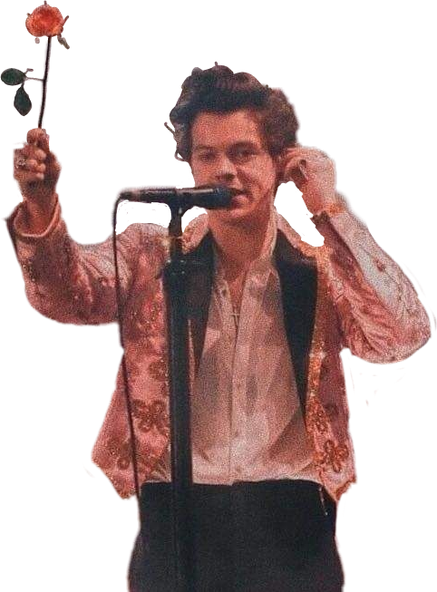 #harrystyles #harry #styles #larry #harrystylestour - Adesivi Trasparenti Harry Styles, Download HD PNG — L'estetica di Harry Styles Sfondi