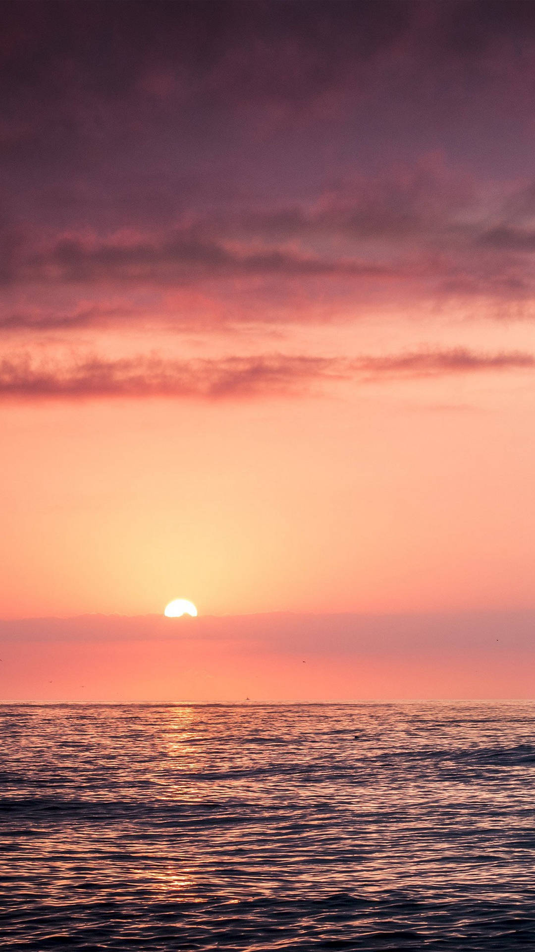 Solnedgång på havet med rosa himmel och klart havsvatten.