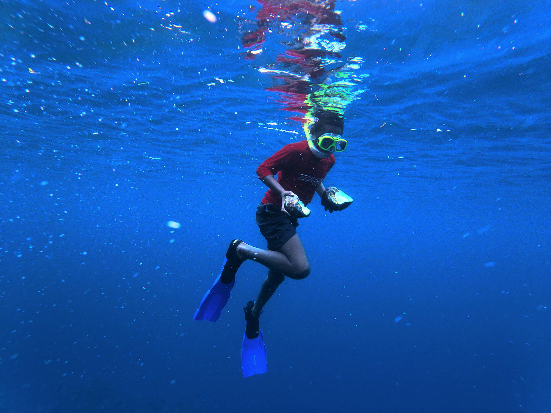 Persoon die snorkelt in helderblauw oceaanwater met rood shirt en blauwe zwemvliezen. — Vanuatu Achtergronden