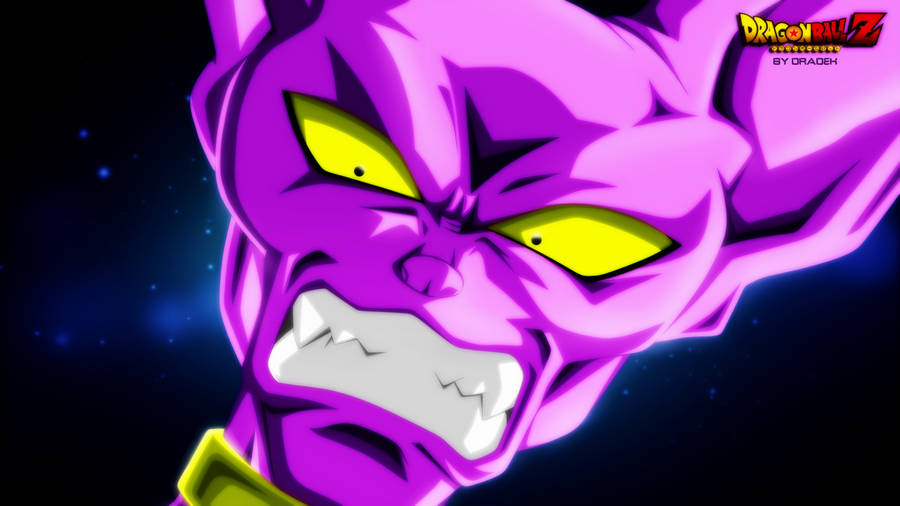 Boze Beerus Close-Up