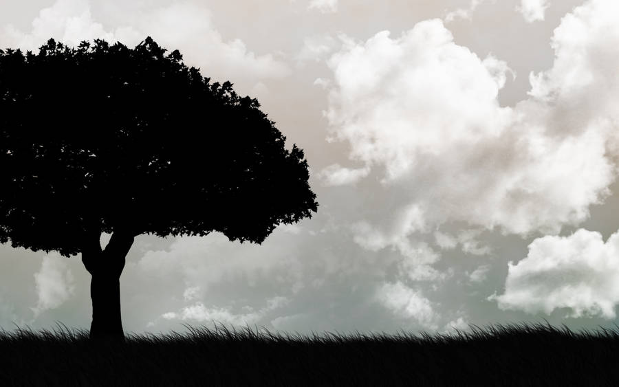 1680x1050 and White Tree wallpaper from Dark wallpaper