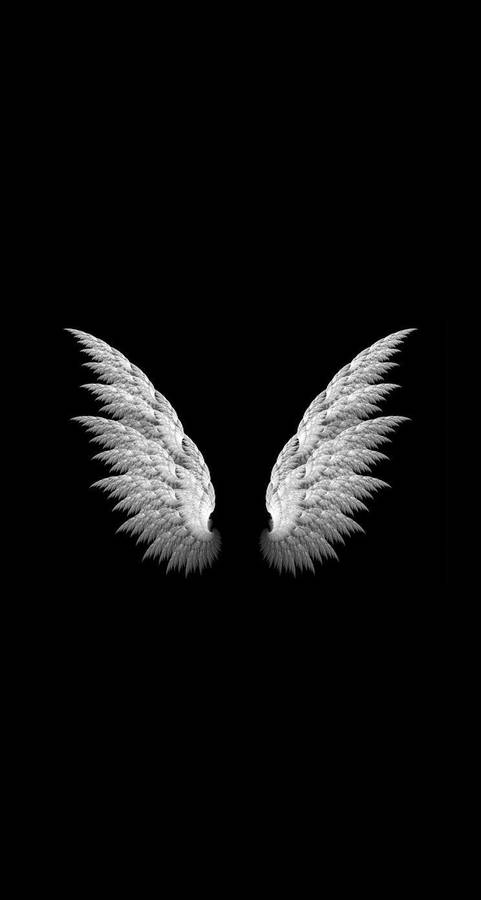 Realistic pair of white Angel Wings open and isolated on the center of a plain dark black background