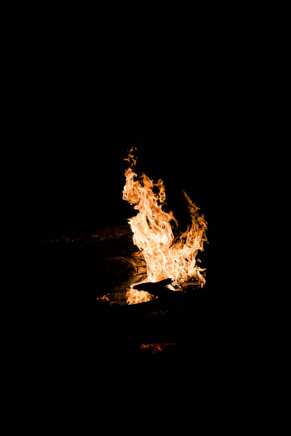 Et brølende bål med klare orange flammer mod en sort baggrund