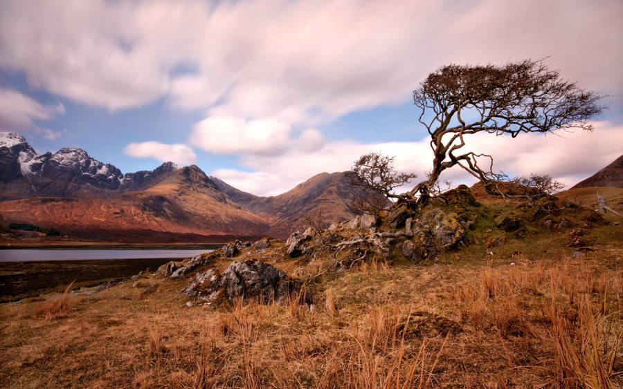 Preview wallpaper mountain, tree, landscape