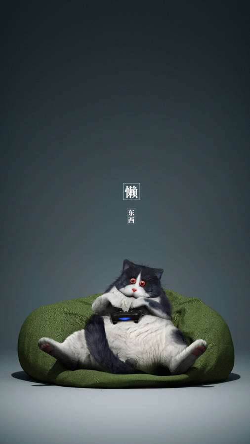Preview wallpaper cat, gamepad, funny, cool, gamer