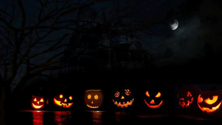 Dolcettoo scherzetto? Preparati per un divertimento spaventoso questo Halloween con questa immagine animata di Halloween!