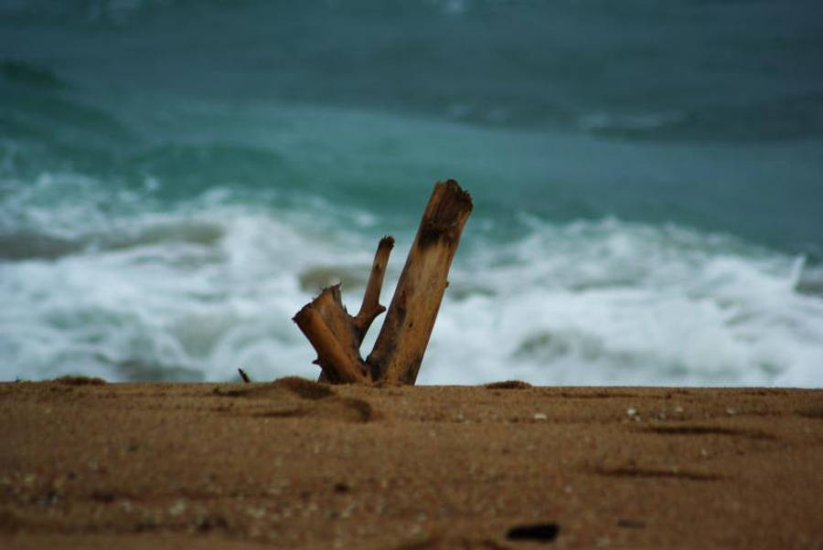 Free Stock Photo of Ocean