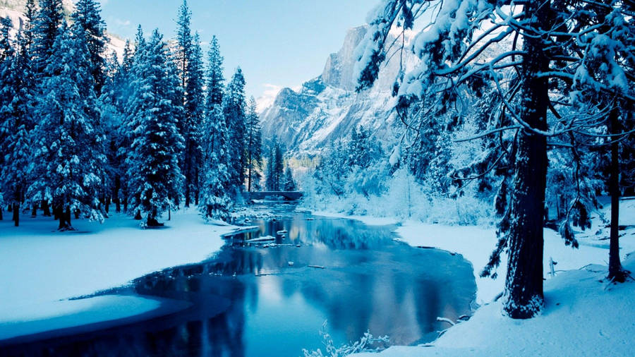 1920x1080 Snowy Winter Forest Wallpaper. Wallpaper Studio 10