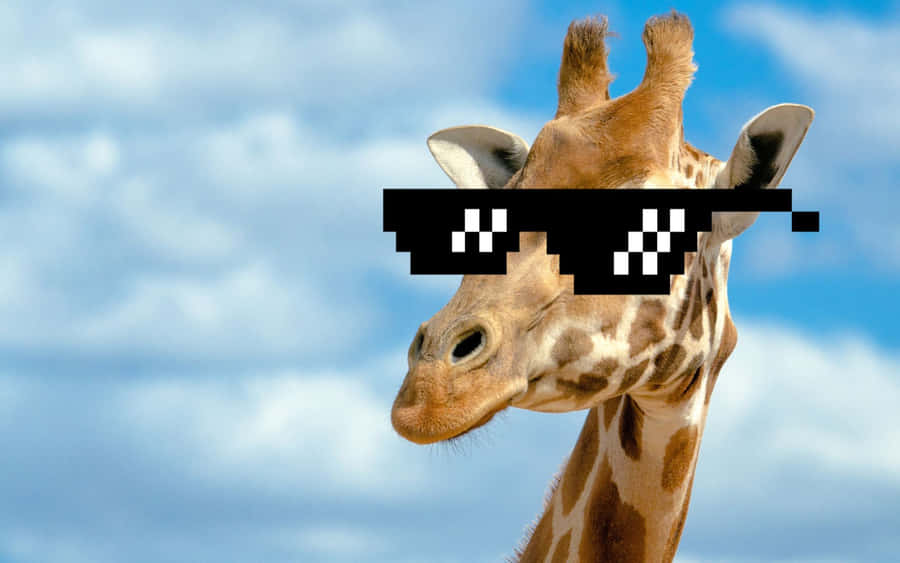 Grappige Giraffe