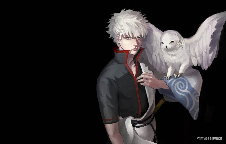 1332x850 Wallpaper owl, anime, guy, Gintama, Sakata Gintoki, Gintama image