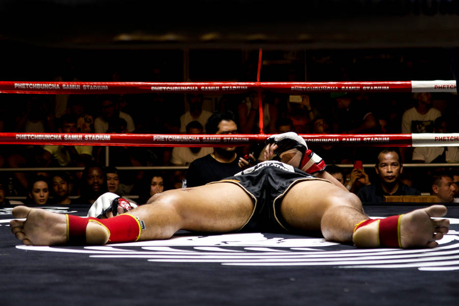 KO nel wrestling