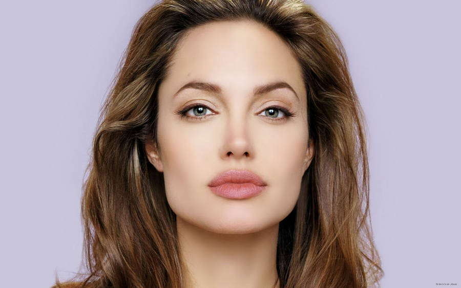Näyttelijä Angelina Jolie lähikuvassa taustakuva.