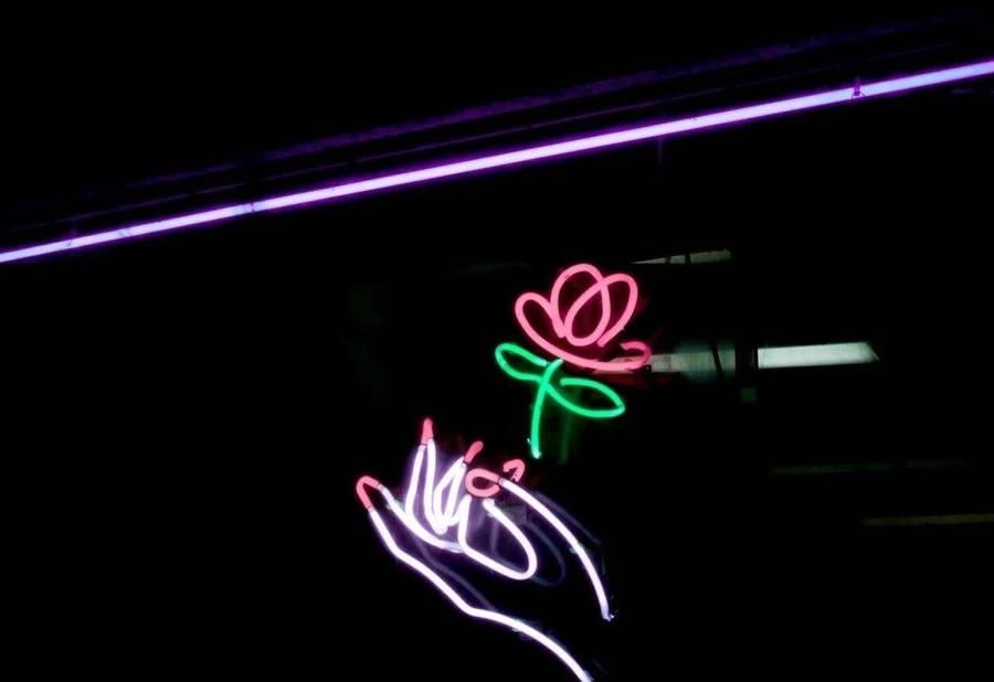 Luzde rosa neón.