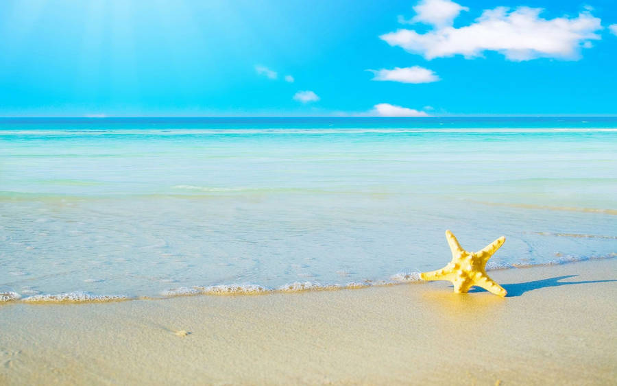 1920x1200 Nice summer wallpaper for everybody who loves the summer