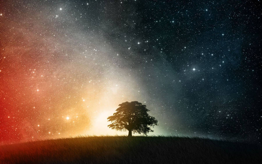 Fond d'écran HD Ciel étoilé 1920x1200