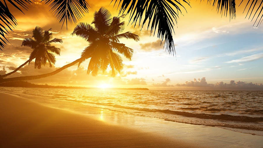 Coucher de soleil incroyable sur la plage fond d'écran.
