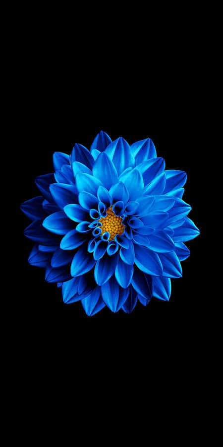 Super Amoled Display