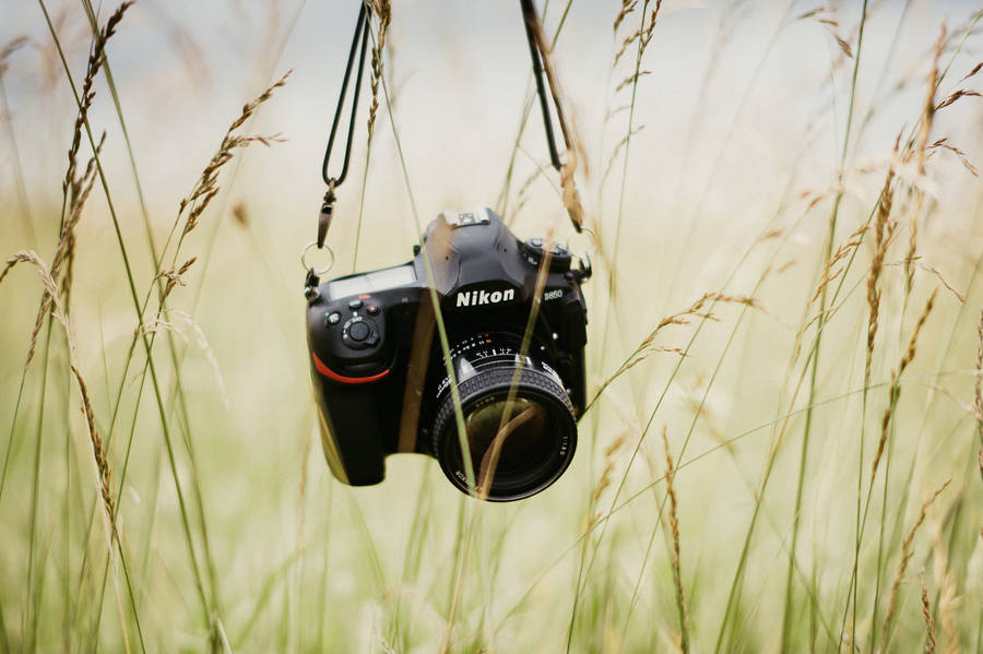 Preview wallpaper camera, technology, lens, grass