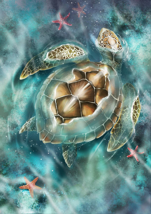 Artevectorial de tortuga