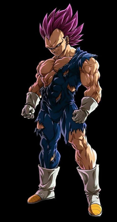 VegetaUltra Ego Corpo Inteiro
