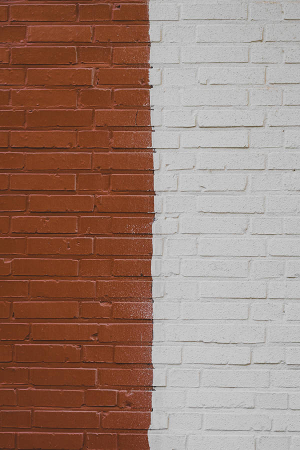 White brick wall half painted brown in Flemish Bond pattern wallpaper