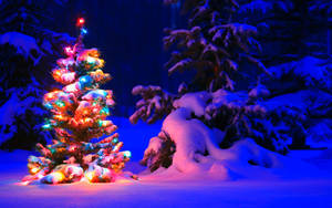 Wallpaper pohon Natal lucu yang tertutup salju.