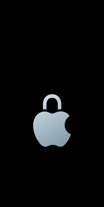 Logo prywatności Apple